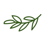 Slide Icon